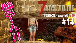 【7Days to Die】琴葉姉妹のNavezgane紀行α19　#14