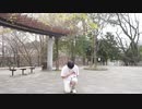 【アニー】マチガイサガシ【しらす+振付】
