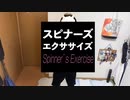 【どこにも効かない】ヨーヨースピナーズエクササイズ【自宅の壁】