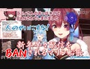 【センシティブ】新年早々配信をBANされるマリン船長【宝鐘マリン/雪花ラミィ/ホロライブ切り抜き】