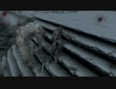 サローが【The Elder Scrolls V: Skyrim】をプレイpart5