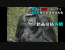 【MUGEN】[旧章] 希望vs絶望リスペクト大会【帰宅部強化合宿後秋大会】part3