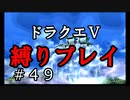 【ドラクエ5 縛りプレイ】天空城を再び高く上げるために東奔西走！Part49【アルカリ性】