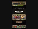【パズドラ】1月クエスト上級レベル8【固定チーム】