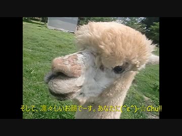 【ぶちゅ～❤】いま見ている「あなた」に感謝のKISS❤