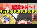 霊夢は魔理沙さんをすごく怒らせたようです[ゆっくり茶番]