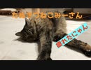 ぐったりみーさん