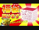 【福袋】開闢のピカピカボックス2021
