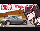 青森グルメドライブ 紅葉と生姜味噌おでん【きりたん車載】