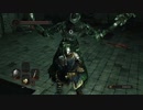 【DARK SOULS Ⅱ SCHOLAR OF THE FIRST SIN】-絶望を焚べよ-　１週目を普通に攻略　～其の２２～【ダクソ２】
