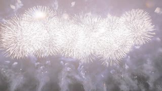 【2021】ツインリンクもてぎ New Year HANABI　第2部「巡る季節にあなたを想う」