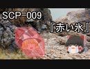 SCPを自分なりに解釈して説明してみる009【赤い氷】