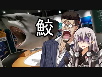いつまでも、どこまでも僕達は旅をする。 #22「燃える東北」