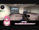 FPS苦手だからBOT対戦とかAIM練習とか遊んでみた