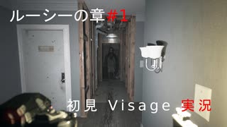 初見プレイ Visage「ルーシーの章#1」実況：14