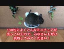 デグーのミニチュアを使った撮影のコツと注意点