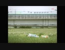 ACジャパン リサイクルの夢（3R推進団体連絡会）15秒版・30秒版