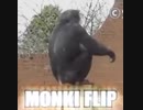Monki flip