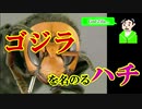 この恐ろしいハチは名前にゴジラがついてます【雑学】