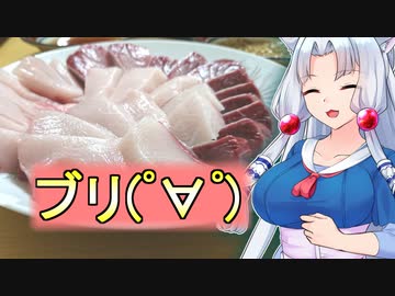 新妻イタコと　ブリをシャブる【ボイロキッチン】