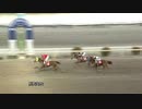 2021年1月1日高知競馬8R 初夢特別(準重賞・B級以下) ブラゾンドゥリス