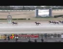 第23回新春ペガサスカップ ブンブンマル