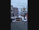 えちぜん鉄道の踏切