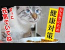 猫に長生きしてほしいのでご飯を工夫してみました【キャットフードのローテーション】