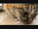 食いまくりみーさん