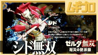 ゼルダ無双 厄災の黙示録｜厄災ガノンとの決戦【実況】
