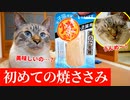 初めての焼ささみを猫にあげてみた結果…