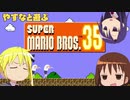 やすなと遊ぶスーパーマリオブラザーズ35