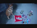 ナナ～犬福袋2021～