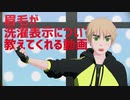 【APヘタリアMMD】眉毛が洗濯表示について教えてくれる動画
