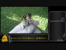 【弦巻マキ解説】プラグ交換をしてみた【VTR250】