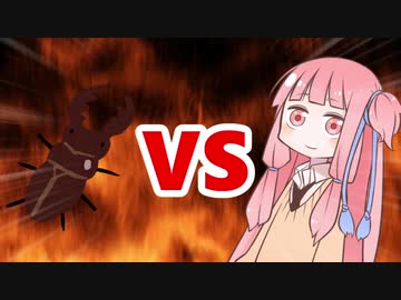 茜ちゃんVSギラファノコギリクワガタ