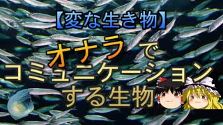 【ゆっくり解説】オナラでコミュニケーションする生物