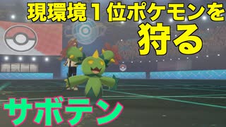 マラカッチは実は強いと豪語する人