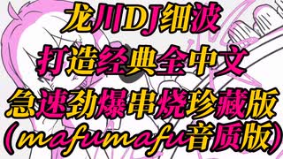 龙川DJ细波打造经典全中文急速劲爆串烧珍藏(mafumafu音质版)