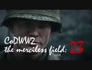 CoDWWⅡ the merciless field: 23