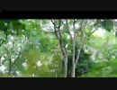 正月さんま日が終わって/らじおZATSUDANic　NATIVE