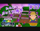 【スーパーマリオギャラクシー】ぶどう畑で騒ぐ女【実況#33】