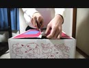 【ポケモン福袋】ピカピカボックス2021開封動画