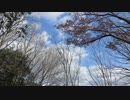２０２１年１月３日　ho散歩　恵下山　山手遺跡群