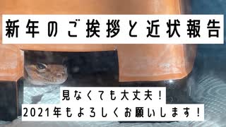 新年のご挨拶と近状報告【見なくても良いです】