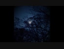 Night Seeker(FREE DOWNLOAD,techno)