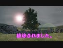島根の木