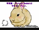 【30分耐久】Virtual Rabbit2 サビループver.