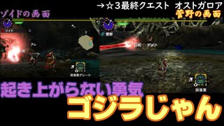 【MHX】クエスト１回ずつで十分なタミフルモンハン部-20