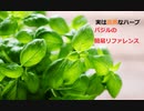 【スパイスを知ろう！】バジルを知ろう！【part35】